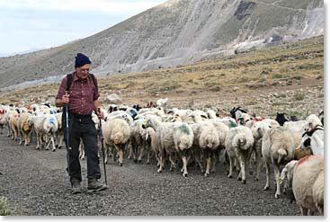 Richard almost back at the trailhead marking the end of the acclimatization day