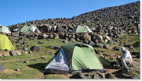 Green Camp