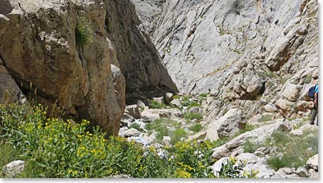 The team crossed grassy ledges on the descent down the narrow canyon