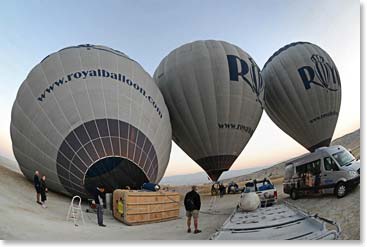 Royal Balloons