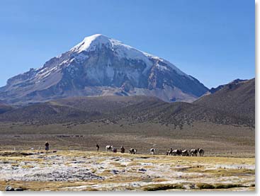 Looking back at the great snowcapped Sajama mountain