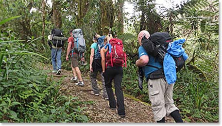 We begin our forest hike.