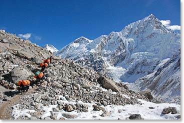 Yaks carrying heavy loads toward Everest Base Camp