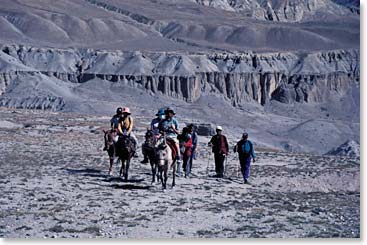 Horses are a great way to cover ground on this high plateau.