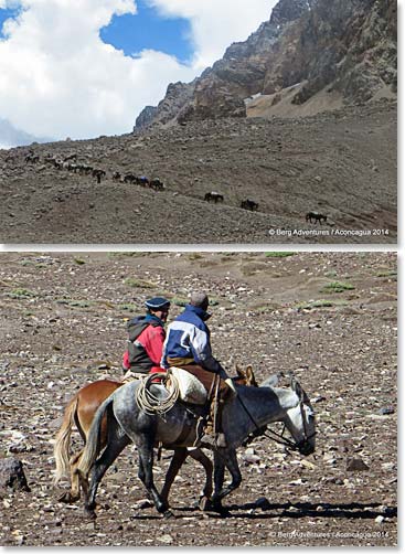 We are very thankful for the mules that carry our stuff from Confluencia to Plaza de Mulas.