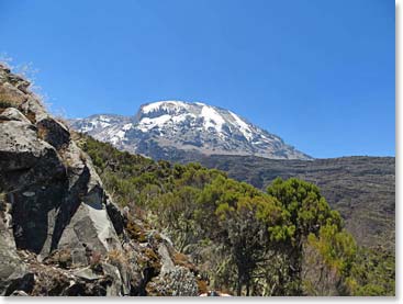 Looking onto Kilimanjaro from the trail to Barranco Base Camp