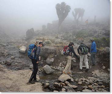 Climbing to the lava tower through the mist