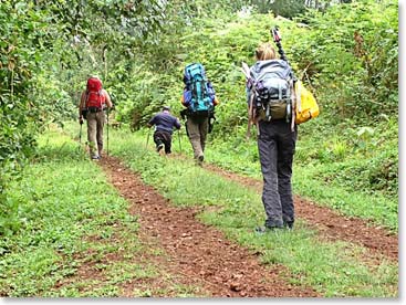 The team is off to begin their climb of Kilimanjaro!