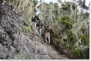 Up we go to Barranco Camp!