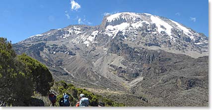 Kilimanjaro gets bigger and more majestic as we approach camp.