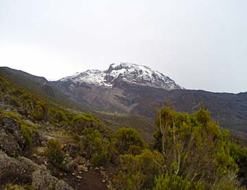 Looking onto Kilimanjaro from the trails