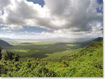 Classic African landscapes 