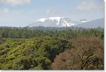Kilimanjaro is waiting!