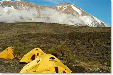 Arriving at Shira Camp