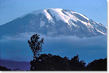 Kilimanjaro