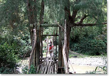 Entering the thick jungles of Papua