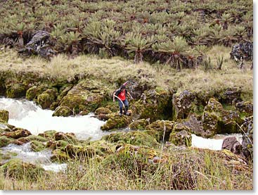 It is no question now why rain boots are essential for a Carstensz Pyramid climb!