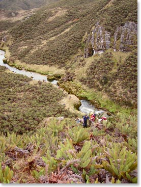 Climbing into the sub alpine zone