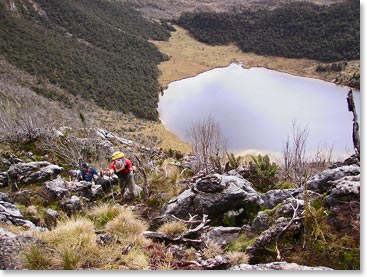 Trekking to Camp on day 4 of our Carstensz Pyramid climb