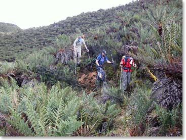 Trekking out from Base Camp