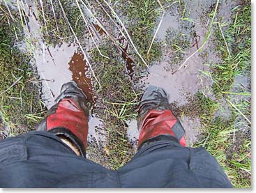 Now the team can see why rain boots are ESSENTIAL for a successful Carstensz Expedition!