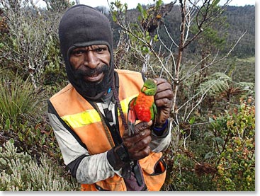 He never misses! Every bird he caught was eaten by the porters.