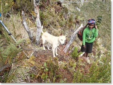 This dog accompanied us the whole way to base camp and never seemed to get dirty!