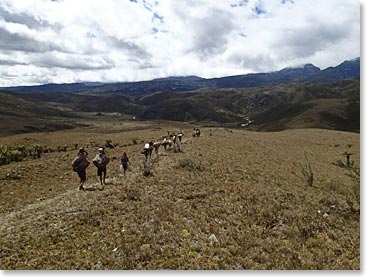 Porters carrying in loads