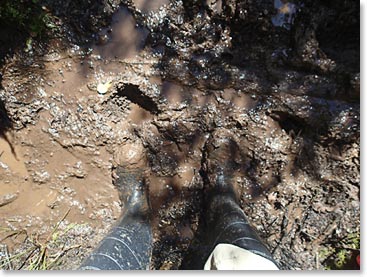 Mud is a common sight for us along these trails