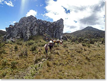 Porters carrying up loads