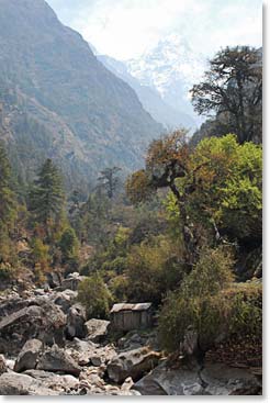 Amazing first views of towering peaks