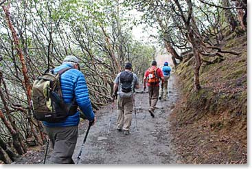 Trekking back to Namche