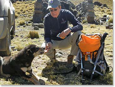 Chris took to climbing this week for her amazing fundraiser “Climb for Paws”.