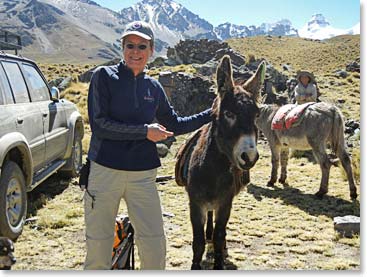 Chris and the mules before they departed for Base Camp