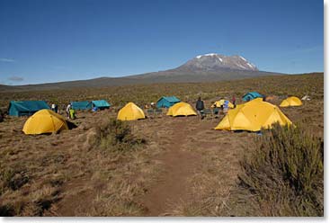 Arriving at Shira Camp