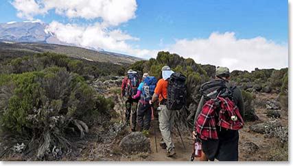 The team departs Big Tree Camp on their way to Shira