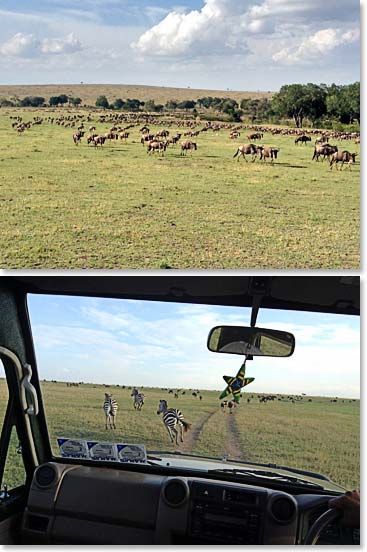 Wally captures some great wildlife photos while on safari.