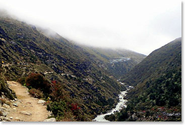Trail from Pangboche to Pheriche