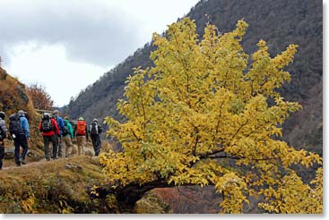 The fall colors were breathtaking.