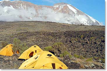 Acampamento Shira à 11,500 pés/3,500 metros (Shira Camp at 11,500ft/3,500m)