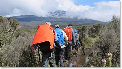 Caminhada para o planalto Shira (Hiking up the Shira Plateau)