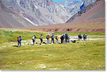 The team at the beginning of their hike yesterday from Confluencia to Plaza de Mulas