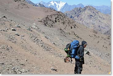 Trevor carrying a load to Nido