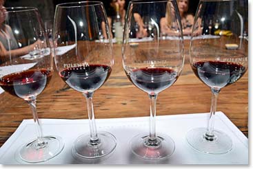 From left to right - Pinot Noir, Malbec, Cabernet Franc and a blend