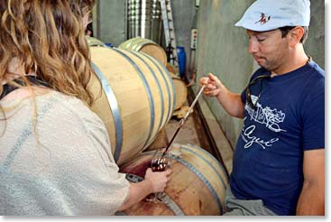 Trying a young wine straight from the barrel