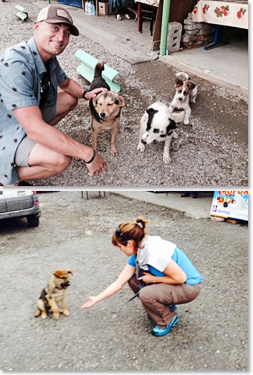 Nic and Kristen made some friends!