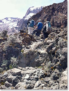 Climbing the Great Barranco beneath Kilimanjaro's Breach Wall.