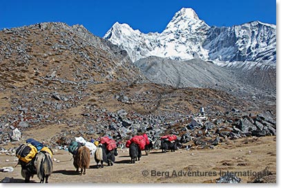 The Yaks at their best! All packed up and ready to go!