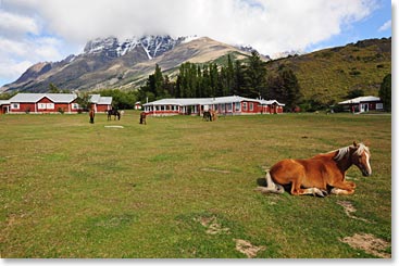 Hotel Torres, our base camp inside the park.