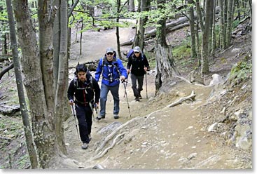 Hiking one of the trails in Torres del Paine